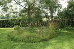 The Log Pile and grass 'buffer'